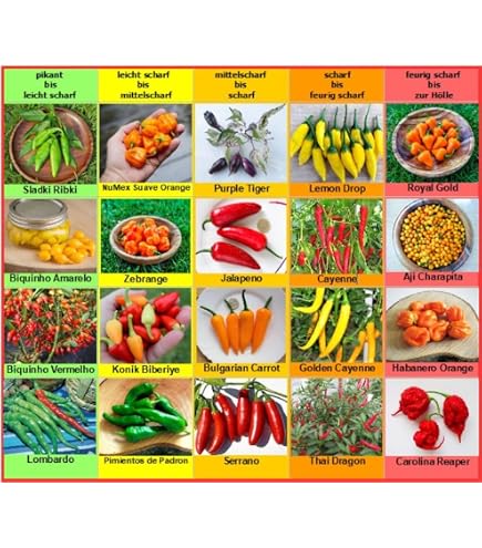 Chilipeper 'Aji Charapita' (Capsicum chinense) zaden