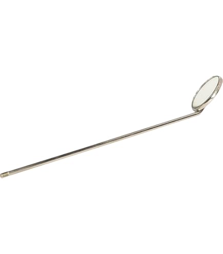 12 Specchi Per Dentista Con Manico, Kit Specchietti Dentali In Acciaio Inox, Strumento Chirurgico Per Odontoiatria