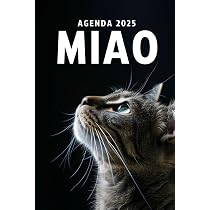 MIAO: Un libro scritto da un gatto, per i gatti e per gli amanti ...