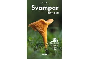 Svampar i naturen : 127 arter - guide till svampar nära dig