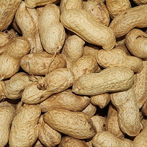 Paul's Mühle Erdnüsse mit Schale 5 kg