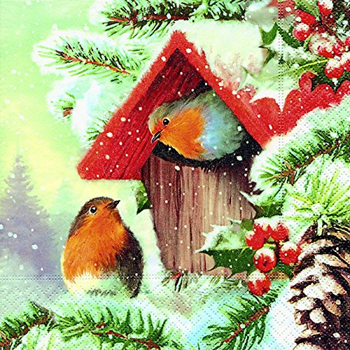 20 Servietten Vögel im Winter Birds Tiere Winter Weihnachten 25x25 cm 20 Servietten Vögel im Winter Birds Tiere Winter Weihnachten 25x25 cm