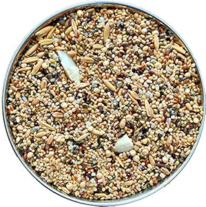 Pets Exotic Seed Mix of 8 Grains, Added with Spirulina & Cuttlefish Bone, Bird Food for Finches & Waxbills, 450 g