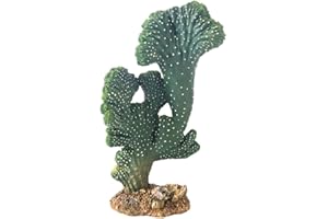 Hobby 37020 - Cactus Victoria 2, altezza 22 cm