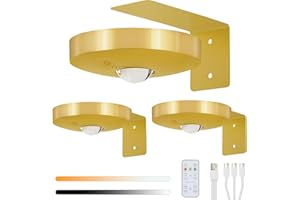 Lightsjoy 3 Pack Picture Lights for Wall Rechargeable Battery Spot Light 3 Color Temperature Dimmable LED Wall Lights Wireless Remote Control Stair Lights Timer Magnetic Art Painting Light Gold