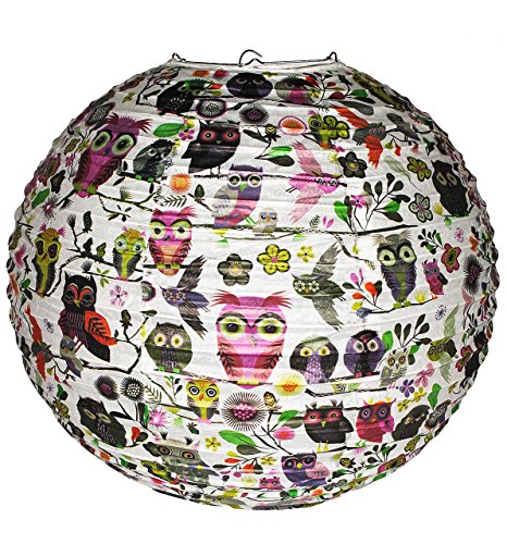 Preisvergleich Produktbild Unbekannt Papier Laterne / Lampenschirm - Eulen & Blumen - für Kinder Papierlaterne - Laternen Lampions - Eule auf AST - Mädchen Jungen - Kinderzimmer Tier Schmetterling Vögel