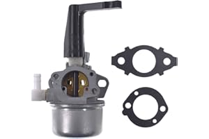 JRL 696065 Amoladora de Repuesto para carburador cultivador con Juntas para Briggs & Stratton