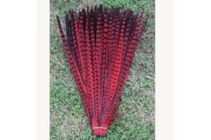 ESOES 10 plumas de faisán naturales de 30 a 35 cm para manualidades o decoración (rojo)