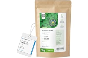 MRS SEEDS & MIXTURES Micro-trèfle - 1 kg pour 300 m² - Résistant à la sécheresse - Pelouse extra dense et verte sans mousse - Libération lente d’azote - Faible besoin en entretien