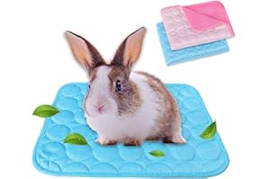 RIOUSSI Lot de 2 lits d'été pour cochon d'Inde - Tapis de refroidissement pour animaux de compagnie - Lavable et respirant - Soie glacée - Taille M - Bleu + rose