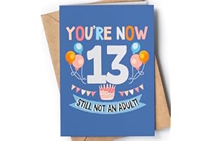 GREETING CARDS FOR EVERYONE Biglietto Auguri 13 Anni Ragazza, Ragazzo - 13 Anni Regali per Compleanno - Biglietti Tanti Auguri Uomo, Donna - Idee Regalo Anni per Lei, Lui - Biglietto Divertente Figlio, Figlia - NUM 64