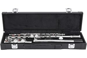 RITOEASYSPORTS Flet, odpinany flet z pudełkiem transportowym dla początkujących dorosłych studentów