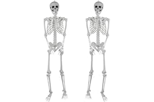 SIFOEL 165cm Halloween Esqueleto de plástico Esqueleto Humano de tamaño Natural con Las articulaciones móviles para la decoración de la Fiesta de Halloween, 2 Piezas