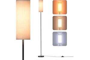 Homuserr Lampara de Pie 9W LED Regulable con Interruptor y 3 Temperaturas de Color 3000K-6000K, Lampara con Bombilla E27 para Salón, Oficina, Dormitorio, 170 cm