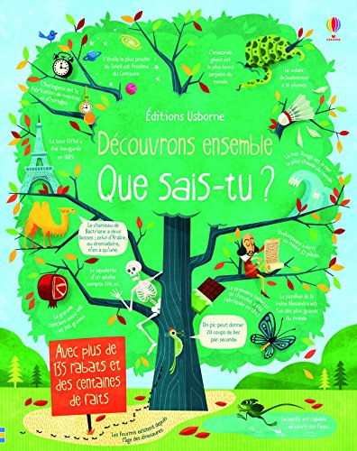 couverture de : Que sais-tu ?