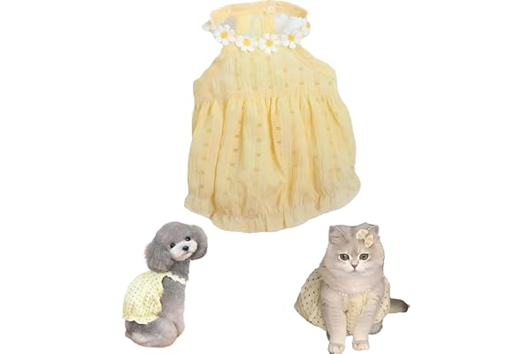 VayuSrot Cat Dress, Yellow Pet Dress for Small Cats and Dogs, Comfortable Winter Outfit for Special Occasions, Photography, Social Media, Fits Pets 8-11 Jin, Back Length 35cm, Chest 45cm