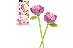 ‎JMBRICKLAYER JMBricklayer Blumenstrauß Bausteine, Blumen Sets für Erwachsene, Aesthetic Room Decor, Botanical Collection, Geschenke für Frauen,Mutter,Ehefrau,Freundin(2 Rosa Rose)