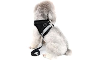 Zunea Harnais pour Chien pour Petit Chien Chat sans Tirer Harnais Ajustable en Maille Filet Souple rembourré Vest Harnais Laisse avec Ensemble de Bande réfléchissante Chiots Laisse pour Chien