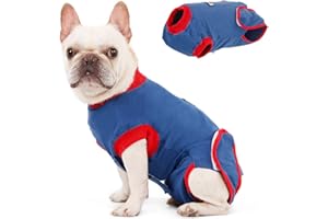 Kuoser Combinaison de récupération pour Chien de Petite Taille et Moyenne, après la Chirurgie pour blessures Abdominales, maladie de la Peau, pour éviter Les lésions et Les éraflures