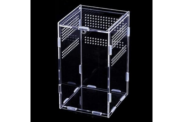 Topspitgo Terrarium Transparent pour Escargots,Portables Lnsecte Terrarium,en Acrylique pour Escargots Araignées Gecko Hamster Serpents Tortues Terrarium Reptiles