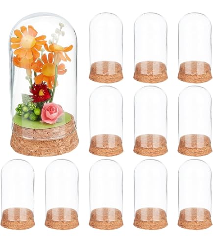 SUNNYCLUE 12 Mini Campane Di Vetro Con Base In Sughero - 30x50 Mm, Barattoli Per Decorazioni E Bomboniere Fai Da Te