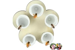 CHONGQILAO Bee Insect Drinking Cup, Bee Cups for Bees Drinking, Bee Cups for Thirsty Pollinators Need A Drink, Bee Cup Water for Bee Garden, Bees Need Safe Places to Drink