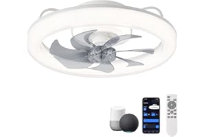 CHANFOK 20'' Ceiling Fans with Lights, Low Profile Ceiling Fan with Dimmable Lights and 6 Speeds, Smart Ceiling Fans with Remote and App Control, Compatible with Alexa & Google Home (White)