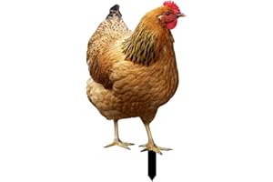Xiixuuj Décor De Cour De Poulet, Jardin Poulet, Décor Acrylique 2D Statue Poule, Sculptures Réalistes De Poulet, Décorations Décoratives Poulet pour Jardin, Cour, Cadeau pour Les Amoureux du Jardin