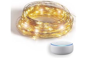 Guirled - Wifi mini LED USB girlanda - Sterowanie głosowe - inteligentny dom - Amazon Alexa i Google Assistant - Podwójny zasilacz USB 2A w zestawie - 200 diod LED 20 metrów - srebrny żarnik