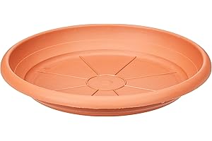 Scheurich Soucoupe en Plastique, Couleur Terre Cuite, 24 cm de diamètre, 3,5 cm de Hauteur