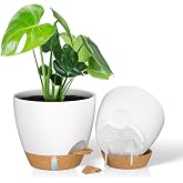 ZMTECH Glass for Piante da 25 cm with Dam D'acqua Fioriere Autoinnaffianti con Fori Di Drenaggio e Sottovaso in Plastic per P