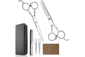 Himart Professional Hair Cutting Scissors Set for Home, Barber Salon, Thinning Scissors Set with Comb and Case for Men/Women (Silver)