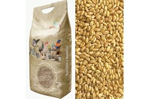 Faunamix Trigo en Grano para Palomas, perdices, gallinas…