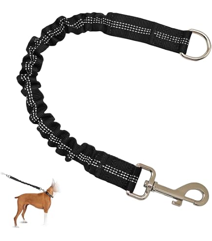 Laisse De Traction Double Pour Chien - Corde Anti-Choc Réfléchissante - Ajustable 45-86cm - Pour Chiens Petite Et Moyenne Taille