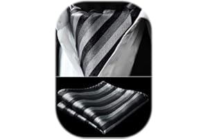 HISDERN Ascot a Pois Uomo e Fazzoletto Stripe Cravatta da Matrimonio Elegante Foulard Business Classico Ascots Set