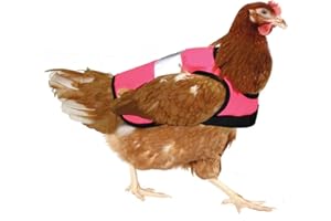 Omlet High-Vis Chicken Jacket | Warm Winter Hen Saddle | Insulation and Cold Weather Protection for your Hen | Breathable, Showerproof Fabric | Pink
