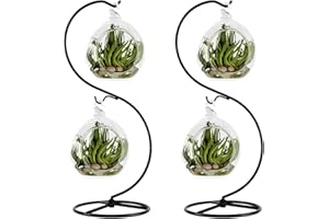 Fosinz Espositore ornamentale, confezione da 2 ganci in ferro per appendere globo di vetro, piante, terrario, palla di Natale, decorazione per la casa e per matrimoni