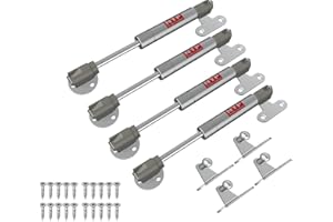 GÉNÉRIQUE Bisagra Amortiguador Cilindro de Gas Corto NTP (40N) x4