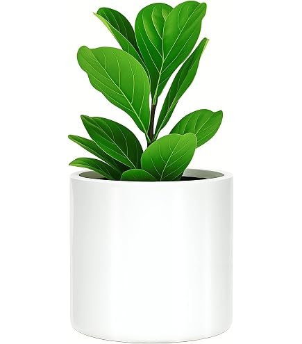 Pot De Fleurs En Céramique InnaGLAS - Blanc - 8.5cm H X 18cm Ø - Pour Succulentes Ou Bougie