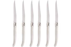 Pradel Excellence - Les Argentes Set de 6 Couteaux Inox - Lame 11,5 cm - Manche Acier 410 - Boîte Couleur - Logo Laguiole pour Élégance et Précision lors des Repas Festifs
