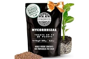 Inoculante de micorrizas DYNOMYCO® – Cepas de alto rendimiento – Fórmula concentrada – Mejora la absorción de nutrientes – Aumenta el rendimiento de las plantas (100 g/Up to 20 Plants)