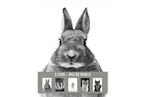FOTOGRAFENVERLAG 5 ANIMAUX - Set de cartes postales # 5 Walter Schels