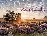 Image de Morgenlicht 2018