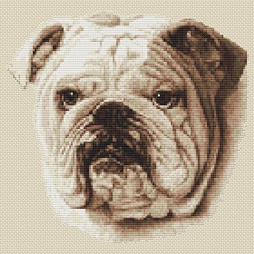 Elite DesignsBulldog (Sepia) Cross Stitch Kit