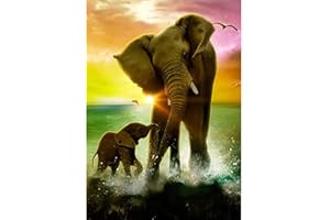 DAERLE Diamond Painting Elefante Pintura Diamante Kits Completos, Kits de Punto de Cruz para Adultos, Kit de Pintura de Diamantes, Cuadros Diamantes 5D, Artesanal para la Decoración 30X40cm