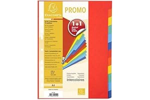 Exacompta - Réf. 2012SE - Lot de 2 jeux d'Intercalaires en carte coloris vifs recyclée 220g/m2 avec 12 onglets neutres - Format à classer A4 - Dimensions 22,5 x 29,7 cm