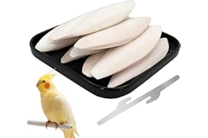 OURDORT 10 Unidades Hueso de Sepia Natural 9-12 cm con Soporte | para Aves, Reptiles, Tortugas, Dragones Barbudos y Caracoles | Fuente de Calcio Artesanal + Refuerzo Óseo