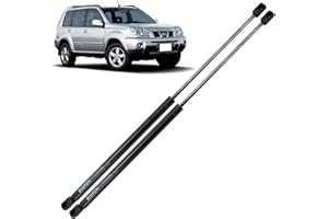 BIAREN 2 amortiguadores de gas para maletero trasero para Nissan X-Trail T30 2001-2013, sistema de soporte de elevación 410 (N) 536 mm 904508H310 904508H31A 904518H327