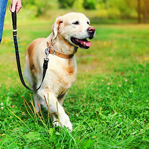anti shock dog leash