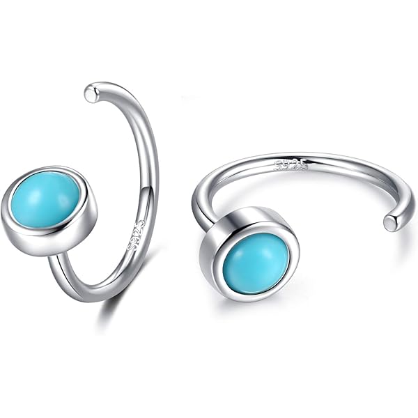 Orecchini A Cerchio Intrecciati 2CM Argento Massiccio 925 Rodio